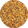 Organic Fenugreek Seeds (6 oz) Spice